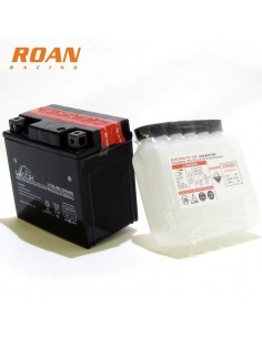 BATERIA 12V-4AH LEOCH 2