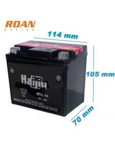 Bateria 12v 6ah acido-plomo - Motosapollo.com