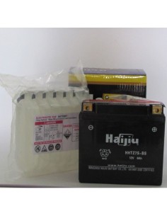 Bateria 12v 6ah acido-plomo - Motosapollo.com 2
