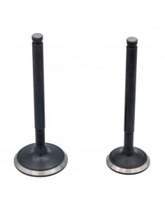 JUEGO VALVULAS 150-160cc 28X73-23X71.5 - 5Ø - Recambiosminimotos.com