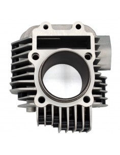 CILINDRO 60mm pit bike 155cc ZS (camisa 90mm) - Recambiosminimotos.com