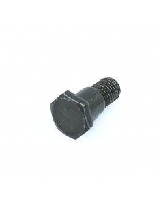 Tornillo pata cabra Pit bike 10mm - Recambiosminimotos.com 2