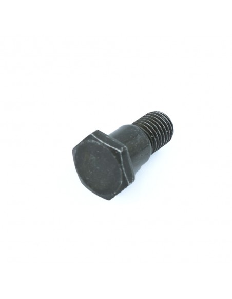 Tornillo pata cabra Pit bike 10mm - Recambiosminimotos.com