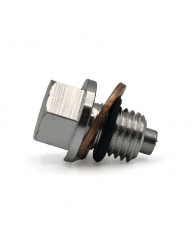 Tornillo vaciado de aceite CNC imantado