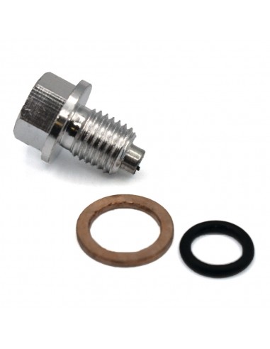 Tornillo vaciado de aceite CNC imantado
