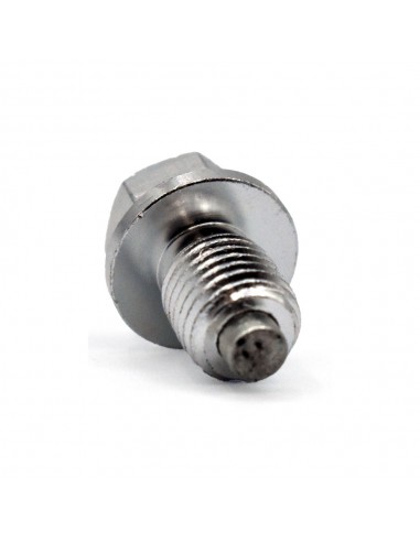 Tornillo vaciado de aceite CNC imantado