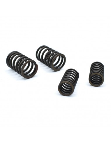 KIT MUELLES VALVULAS 50-125cc