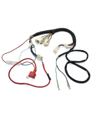 Cableado eléctrico pit bike 90cc auto