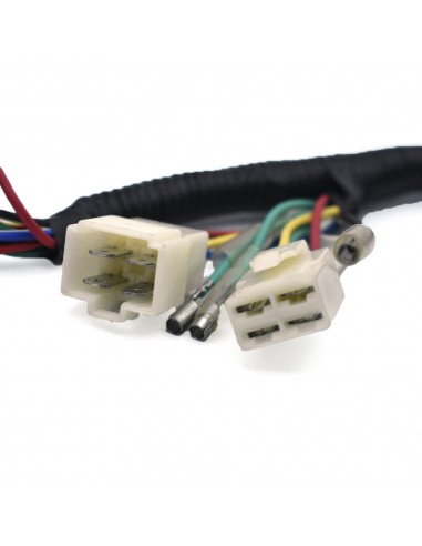 Cableado eléctrico pit bike 90cc auto