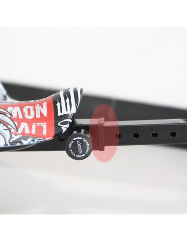 EMBELLECEDOR DE AJUSTE POSESION DRIFT...