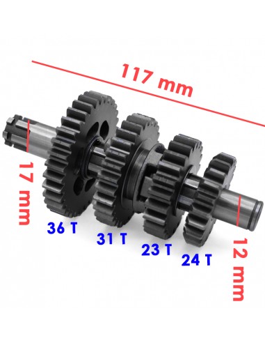 Kit piñón caja de cambio pit bike 125cc