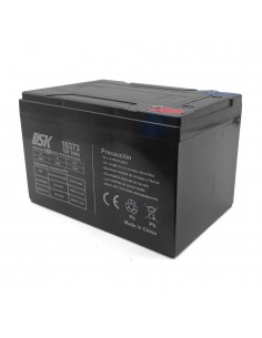 BATERIA PLOMO-ACIDO...