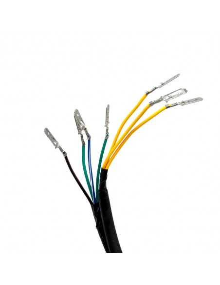 Encendido 11 bobinas - Motosapollo.com