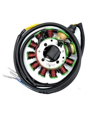 Encendido 11 bobinas - Motosapollo.com