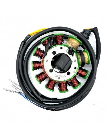 Encendido 11 bobinas - Motosapollo.com