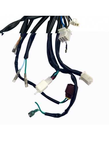 Cableado electrico agb31 - Motosapollo.com