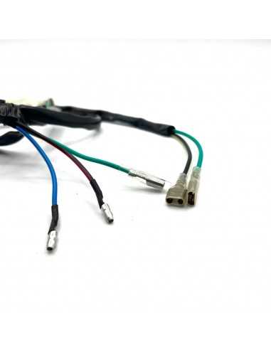 Cableado eléctrico pit bikes CDI R2 - Motosapollo.com