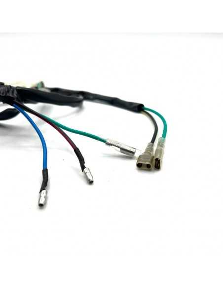 Cableado eléctrico pit bikes CDI R2 - Motosapollo.com