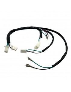 Cableado eléctrico pit bikes CDI R2 - Motosapollo.com