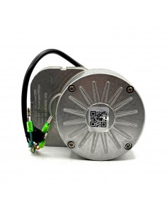 Motor universal 250W 36V minimoto infantil - recambiosminimotos.com 2