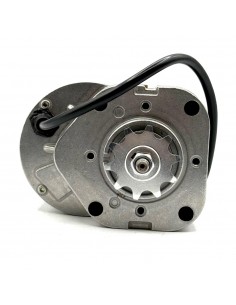 Motor universal 250W 36V minimoto infantil - recambiosminimotos.com