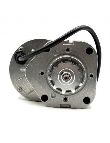 Motor universal 250W 36V minimoto infantil - recambiosminimotos.com