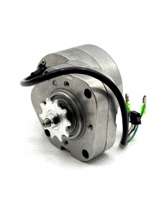 Motor eléctrico 250W 36V minimoto infantil 2