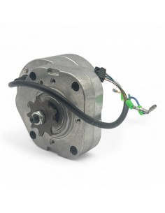 Motor brushless 350W 24V bicicleta infantil - recambiosminimotos.com