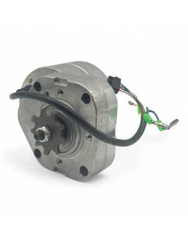 Motor brushless 350W 24V bicicleta infantil - recambiosminimotos.com