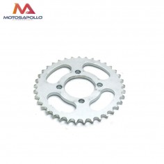 Plato cadena 428 motocross - Motosapollo.com