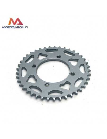 Plato cadena 428 41T pitbike SDG - Motosapollo.com