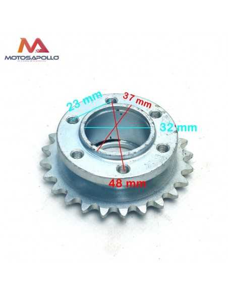 Plato cadena 06C-1 buggie - Motosapollo.com