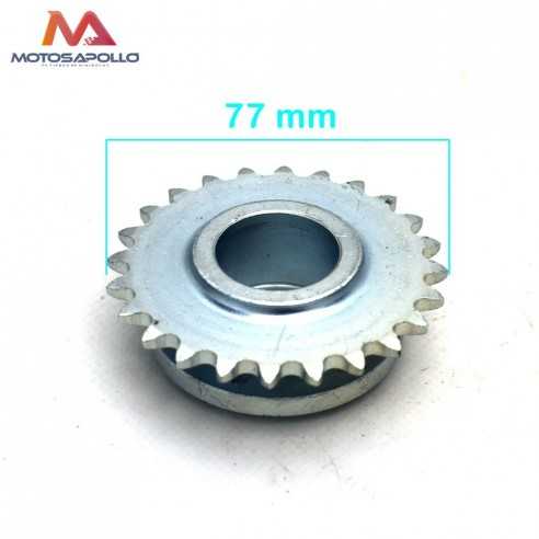 Plato cadena 06C-1 buggie - Motosapollo.com