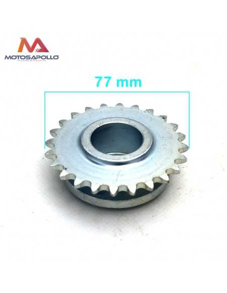 Plato cadena 06C-1 buggie - Motosapollo.com