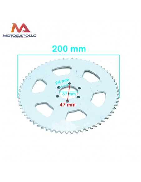 Plato cadena 06C-1 65T buggie - Motosapollo.com