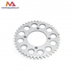 Plato arrastre 43T SDG motocross - Motosapollo.com