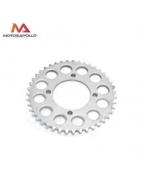 Plato arrastre 43T SDG motocross - Motosapollo.com