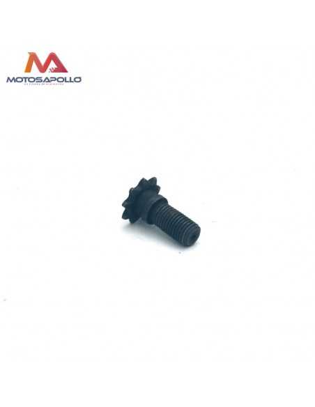 Piñon salida H25 9T minimoto-Motosapollo.com