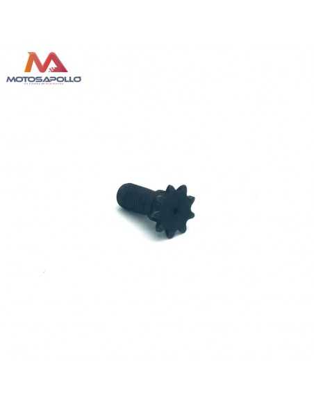 Piñon salida H25 9T minimoto-Motosapollo.com