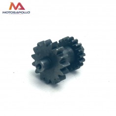 Piñon reductor motor arranque 15-17T pit bike-Motosapollo.com