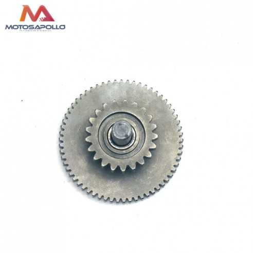 Piñon engranaje intermedio 250cc pit bike - Motosapollo.com