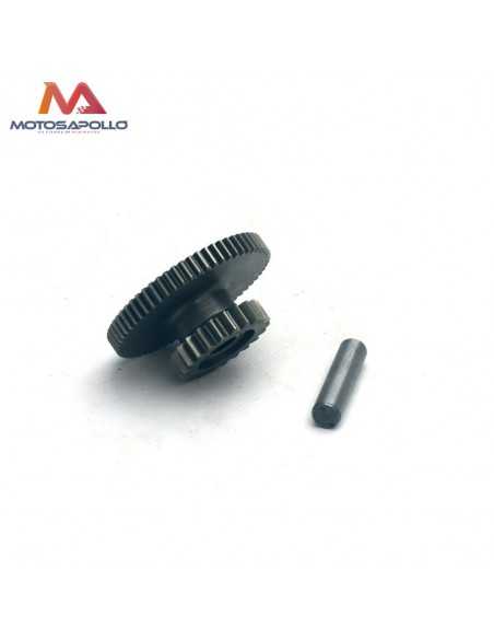Piñon engranaje intermedio 250cc pit bike - Motosapollo.com