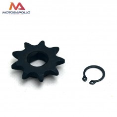 Piñon de salida 12 mm pit bike