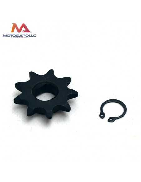 Piñon de salida 12 mm pit bike