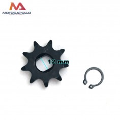 Piñon de salida 12 mm pit bike 2