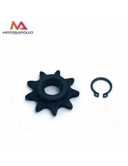 Piñon de salida 12 mm pit bike