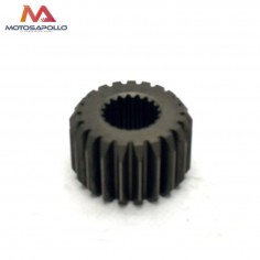 Piñon de embrague 250cc de 21 dientes Motosapollo.com