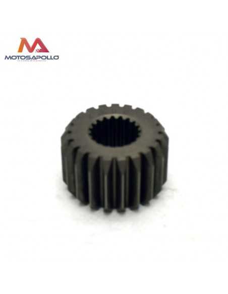 Piñon de embrague 250cc de 21 dientes Motosapollo.com