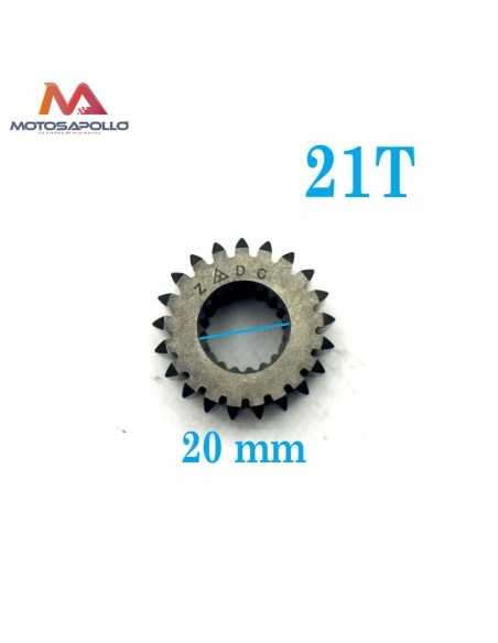 Piñon de embrague 250cc de 21 dientes Motosapollo.com