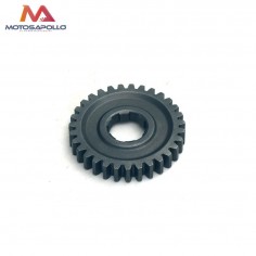 Piñon caja de cambio 31T 20mm pit bike-Motosapollo.com